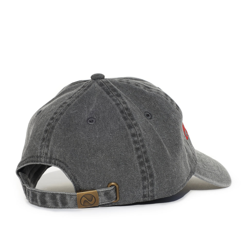 Pyscho-America Tour Cap